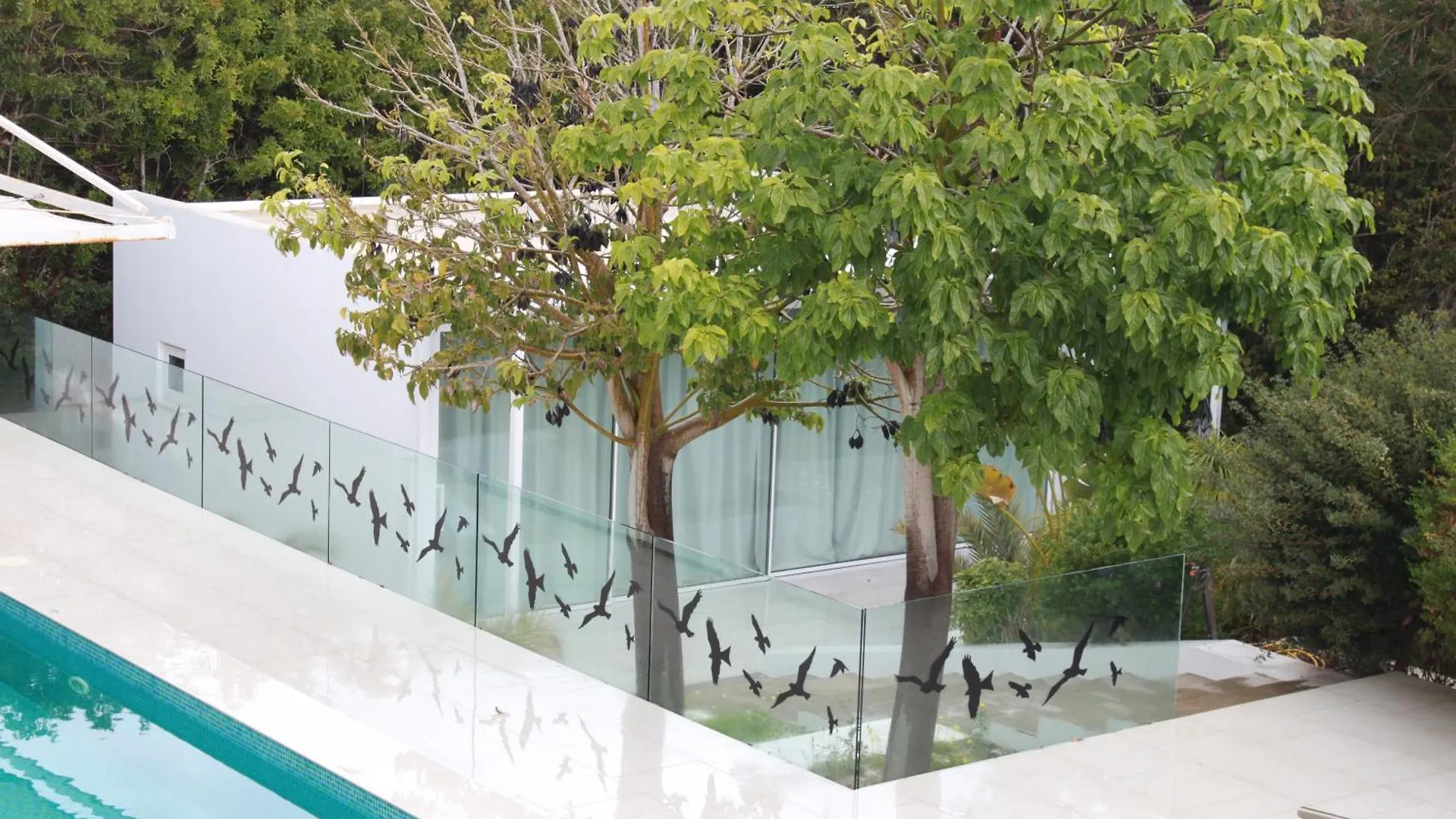 Vila The Olive Tree Protaras 0*,